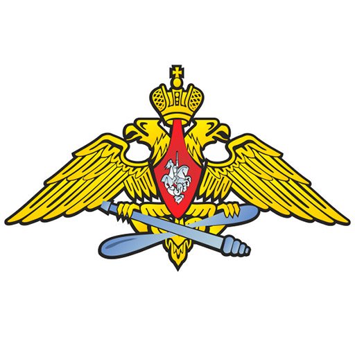Военно-воздушные силы